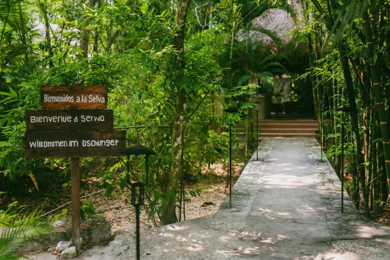 Hotel Piedra De Agua Palenque Extérieur photo